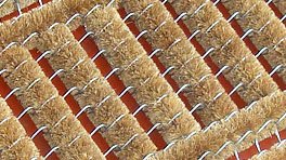 Coir Mats
